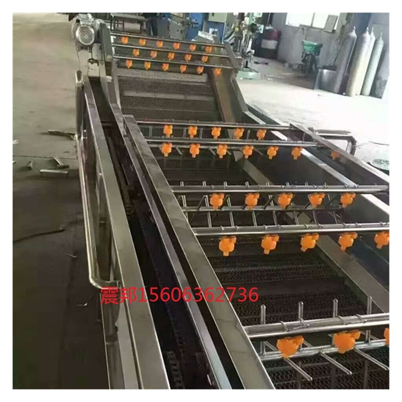 304不锈钢大枣蔬菜海鲜水产清洗机 厂家定制